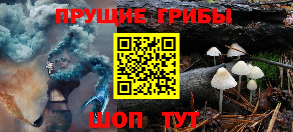Кинель  НБОМе  Cocaine  Вход с VPN  ЭКСТАЗИ  МЕФ кристаллы  Каннабис  ГАШИШ  МЕТАМФЕТАМИН 