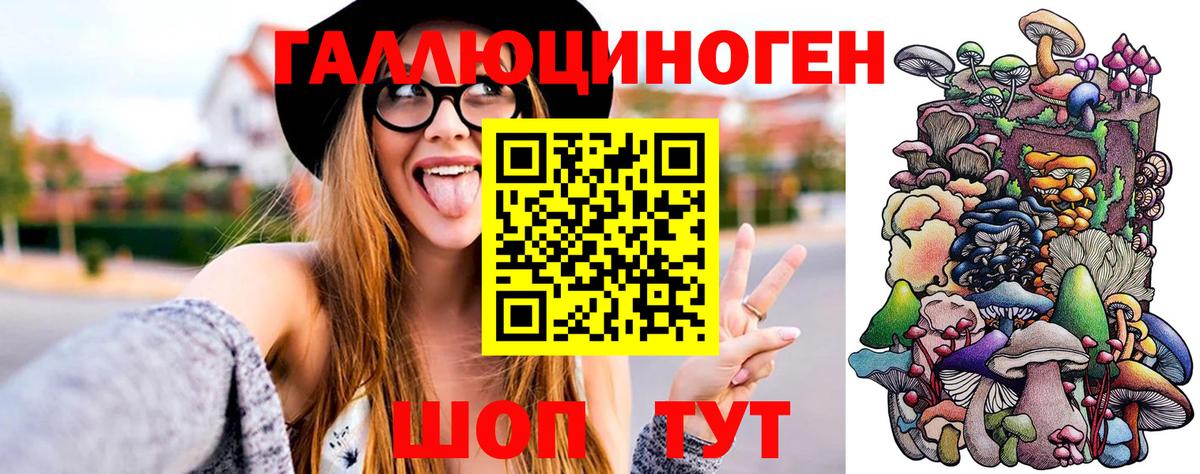 Кинель  Галлюциногенные грибы MAGIC MUSHROOMS  Вход с VPN  Псилоцибиновые грибы мухоморы 