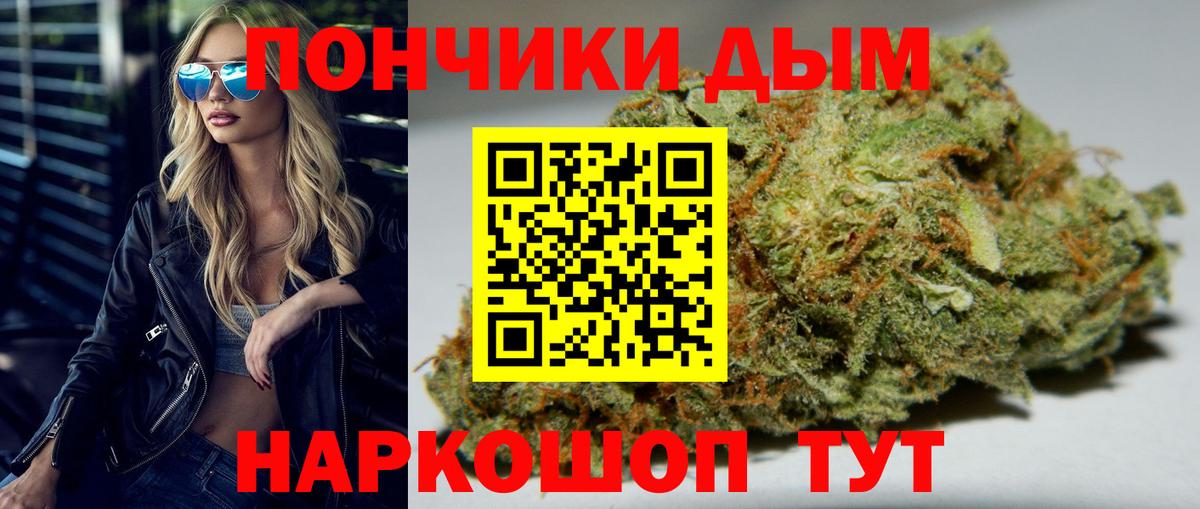 Конопля индика Кинель